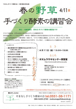 春の野草手づくり酵素の講習会