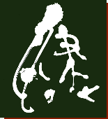 古式 腱引き療法