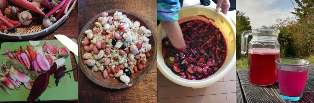 秋は実りの酵素